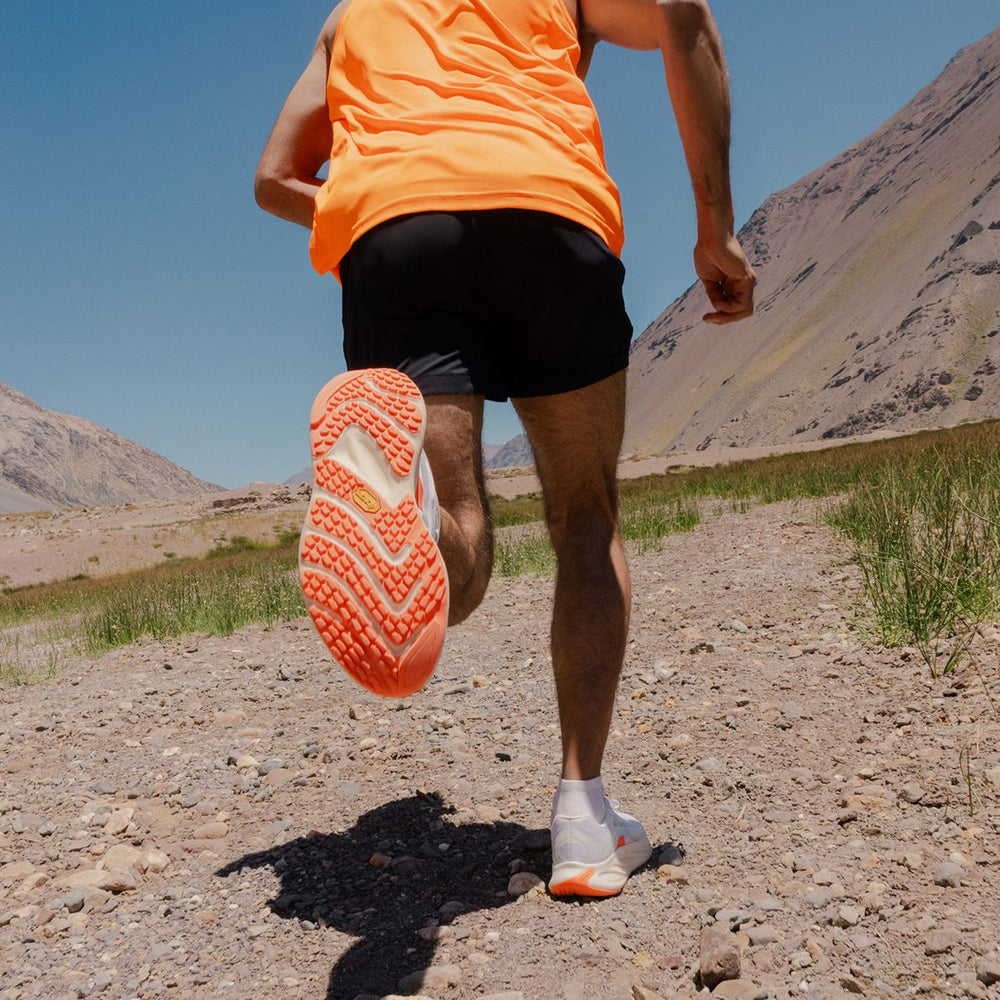 Men's ProMorph Trail Running Sneakers / Merrell On sale